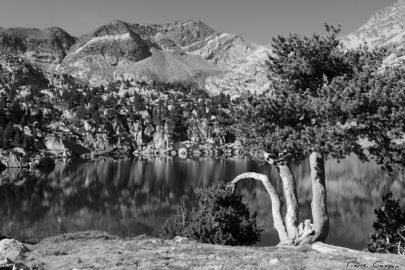 IMG_5227 copie.jpg - Lac de la Carança.